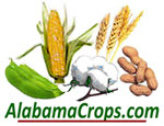 soybean, corn, cotton, wheat, and peanuts with the words "Alabama Crops . com"