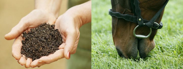 an image of two hands holding soil alongside an image of a horse eating grass