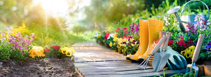flowers blooming on both sides of a path through a garden, garden tools, watering can and boots on the right hand side of the path